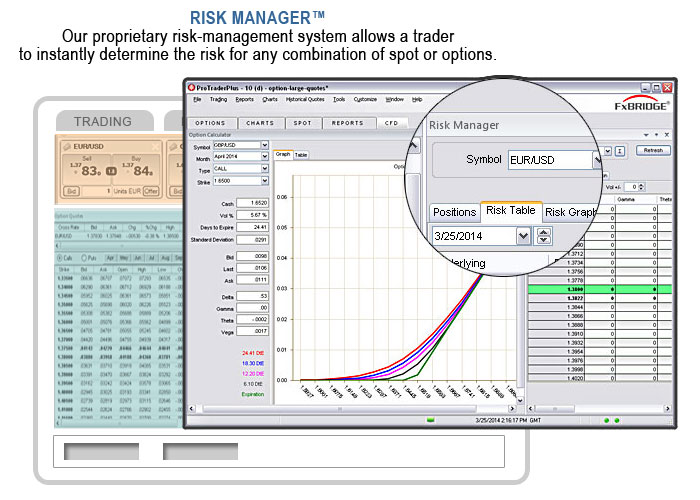 RISK MANAGER